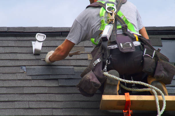 Best Metal Roofing Contractor  in Vienna, IL