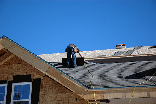 Best Roof Repair Services  in Vienna, IL
