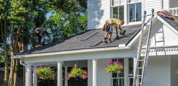 Best New Roof Installation  in Vienna, IL